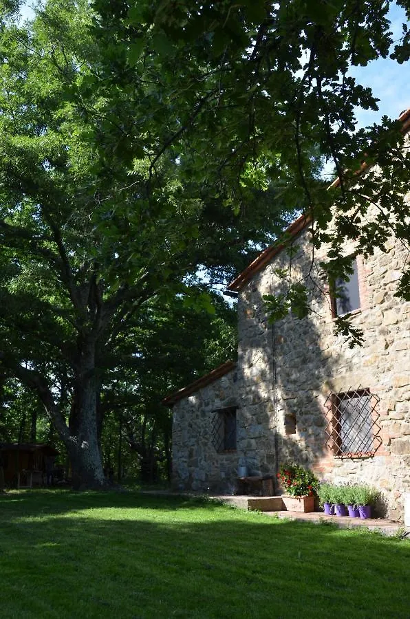 Il Venaio Bed & Breakfast Massa Marittima