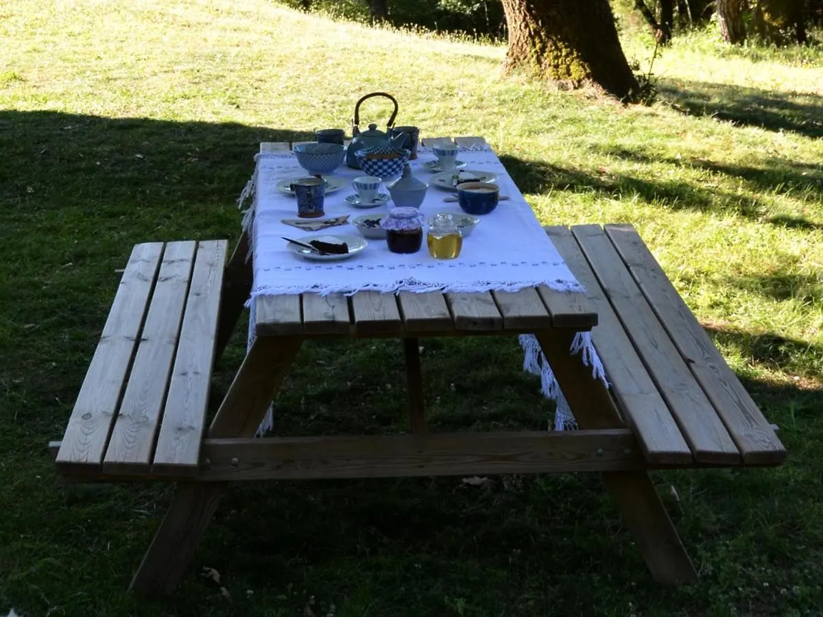Il Venaio Bed & Breakfast Massa Marittima