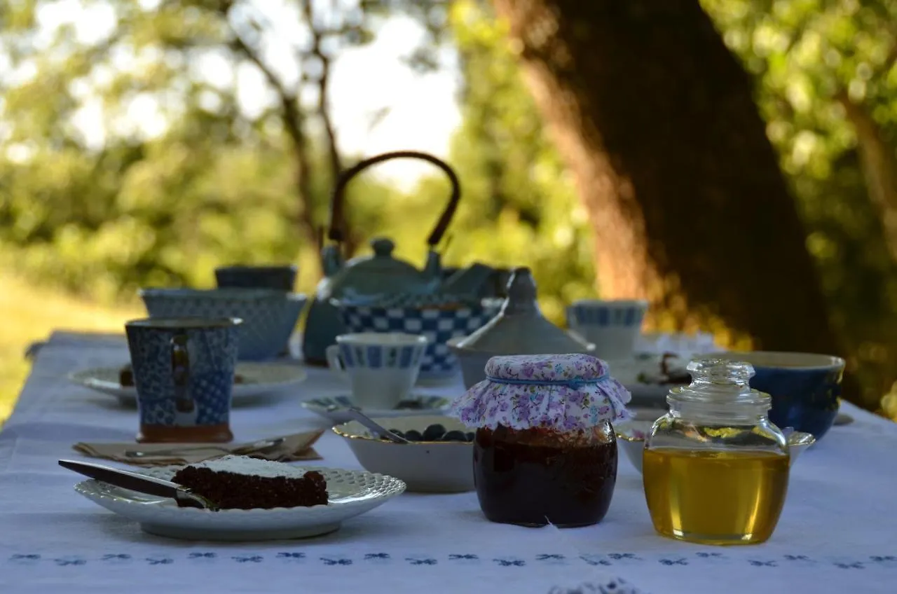 Il Venaio Bed & Breakfast Massa Marittima Italy