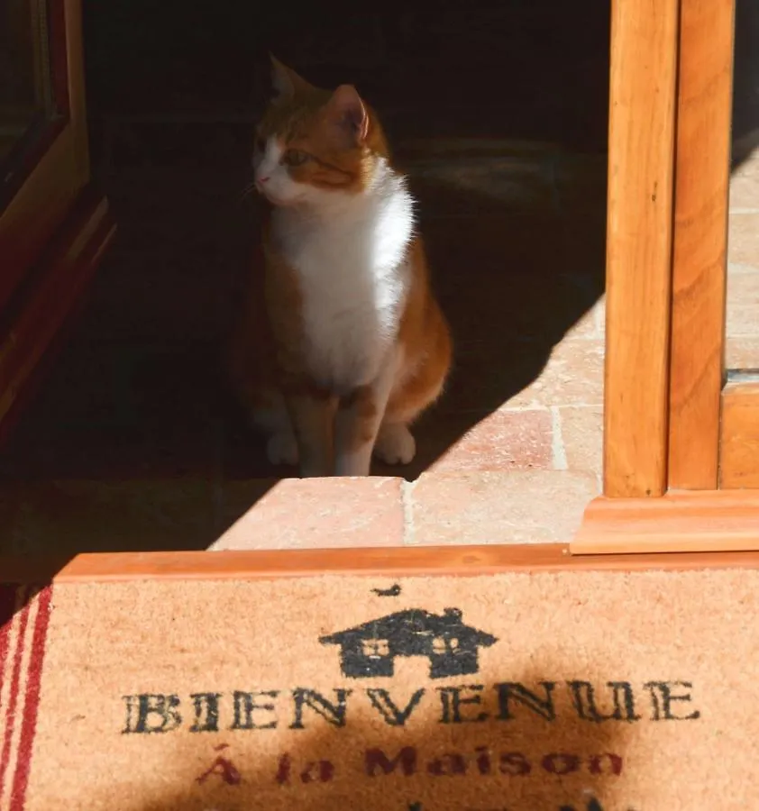 Il Venaio Bed & Breakfast Massa Marittima